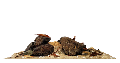 WIO - Rivulet River Kit