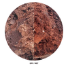 WIO - Wild Red Lava Stone p/kilo