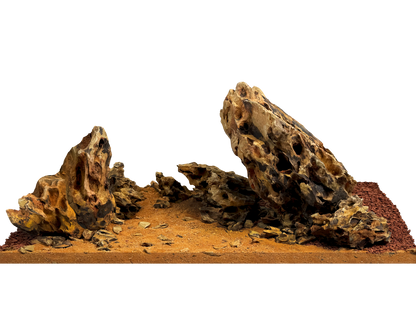 WIO - Amber Dragon River Kit