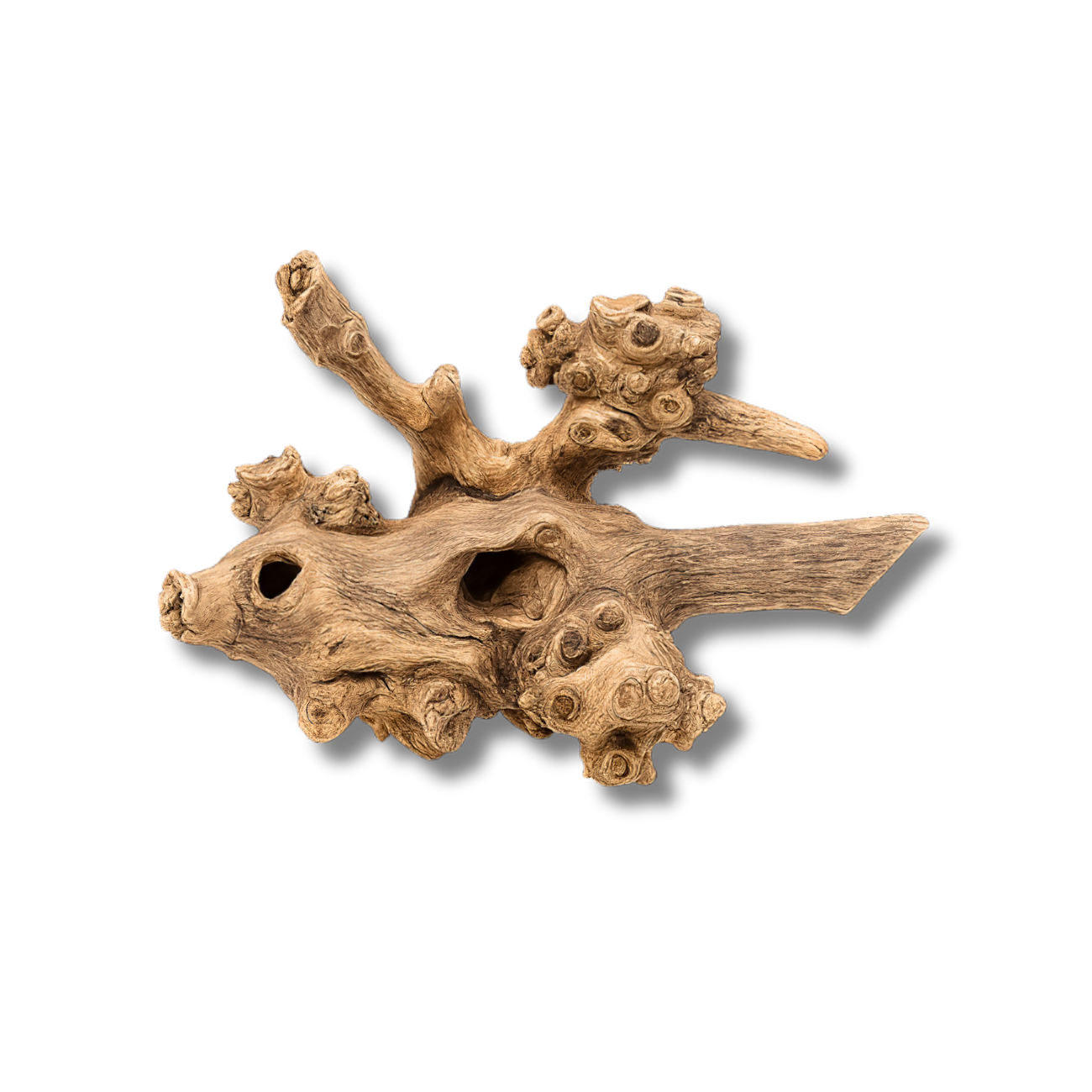 Coral Wood