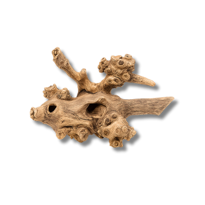 Coral Wood