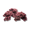 Marco Rocks Coralline