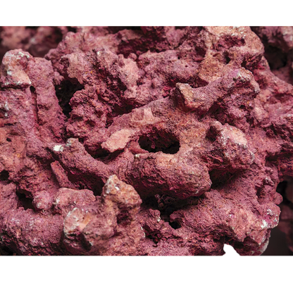 Marco Rocks Coralline