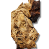 Coral Wood
