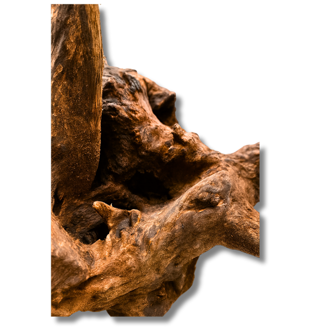 Driftwood River Series
