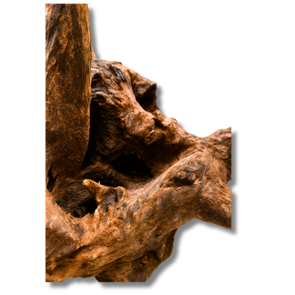 Driftwood River Series