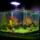 The Tini Aquascaper LED