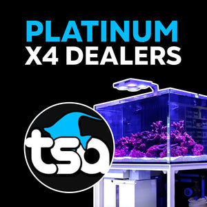 X4 Lighting Bundle