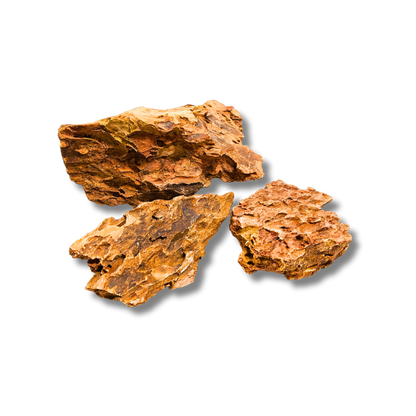 Dragon Stone
