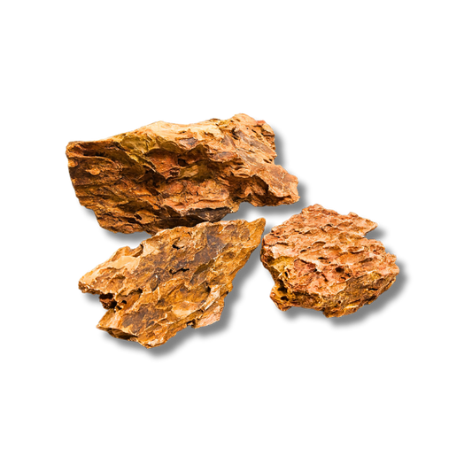 Dragon Stone