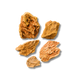 Dragon Stone
