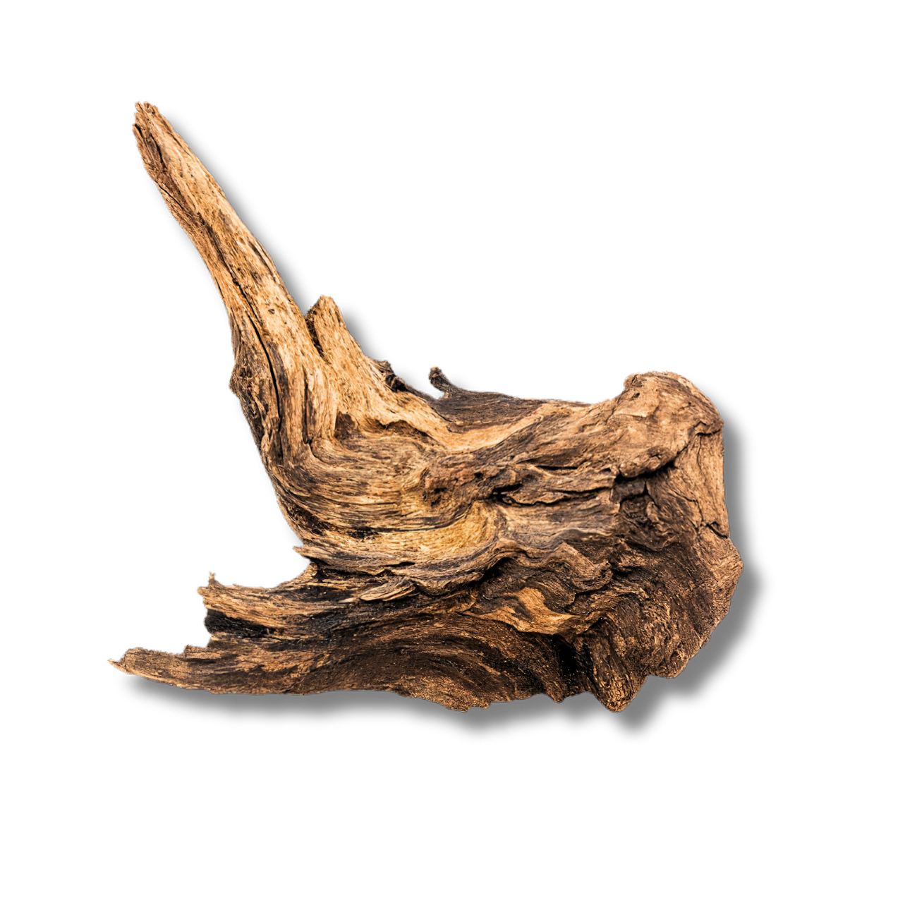 Dragon Wood