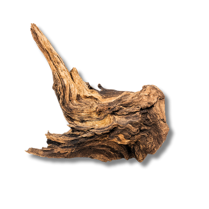 Dragon Wood