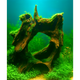 Driftwood River Series