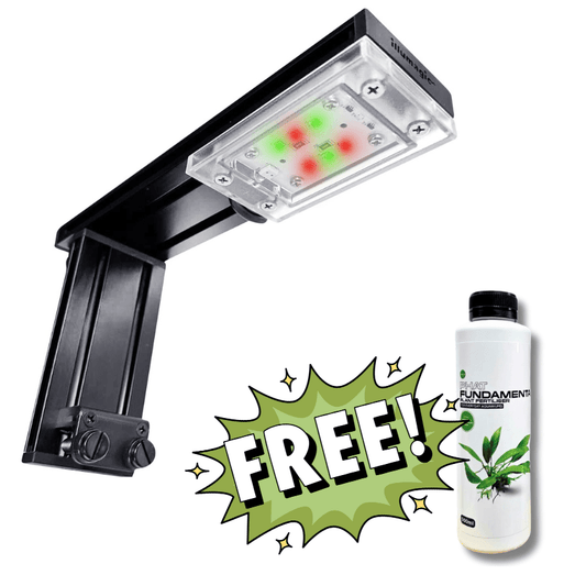 Tini LED + Free Ferts