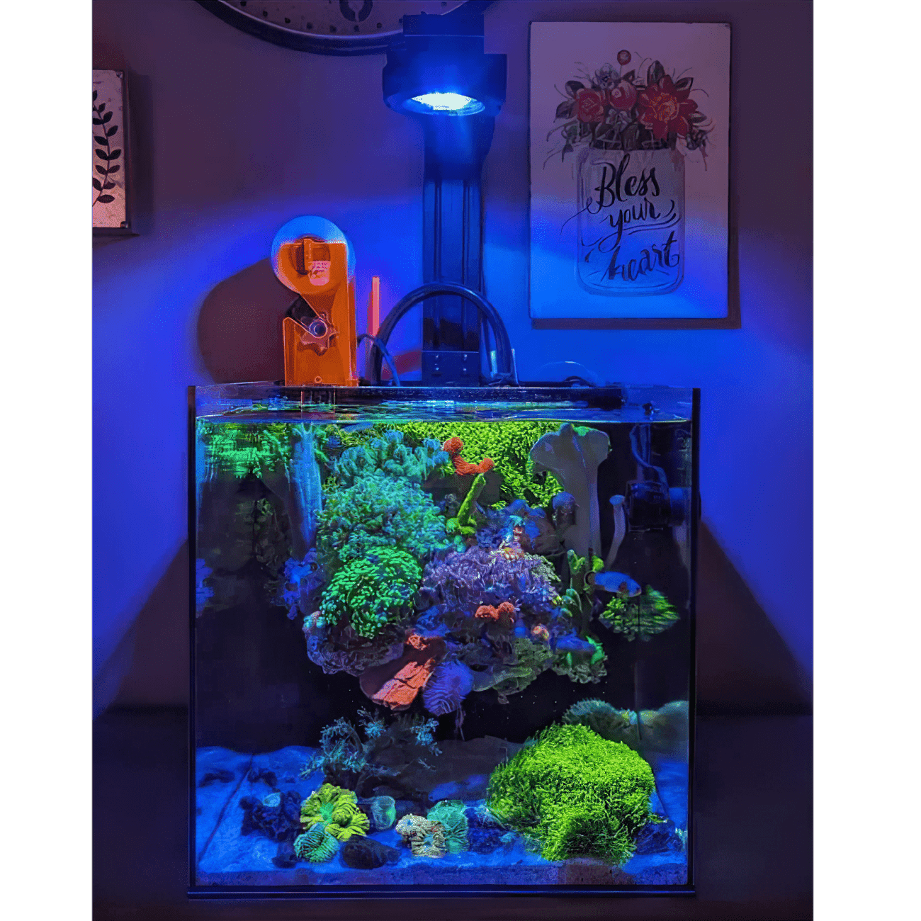 Dual Pixel LED Bundle lighting bundle pack DALUA 