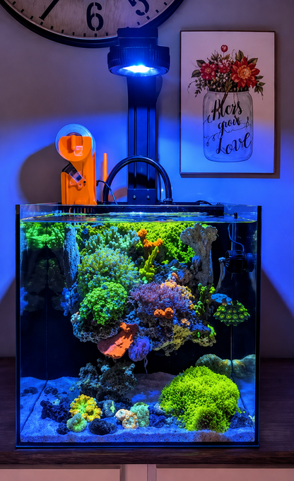 16L Lagoon + Single Pixel LED Bundle