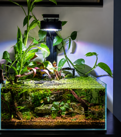 16L Lagoon + Single Pixel LED Bundle