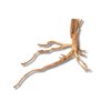 Gold Wood