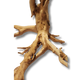 Gold Wood