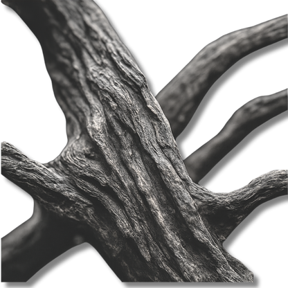 Haunted Wood
