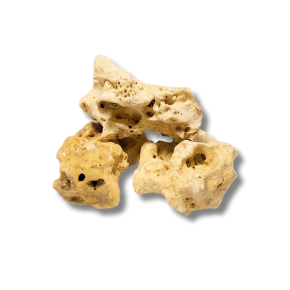 Holey Rock