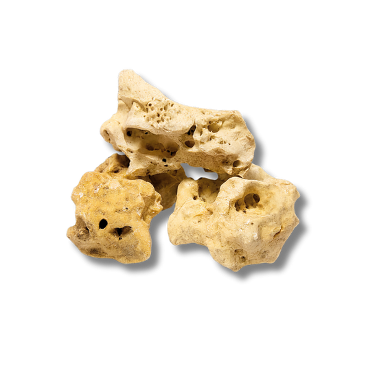 Holey Rock