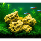 Holey Rock