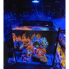 Pixel LED Bundle lighting bundle pack DALUA 