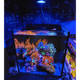 Pixel LED Bundle lighting bundle pack DALUA 