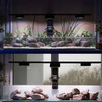 Product carousel image