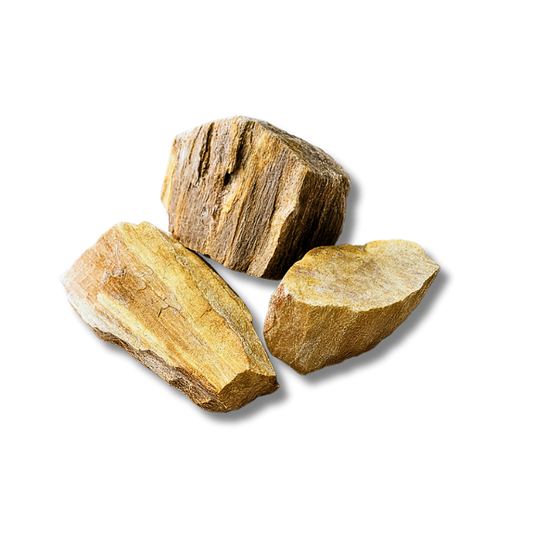 Jurassic Stone