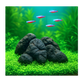 Black Lava Rock