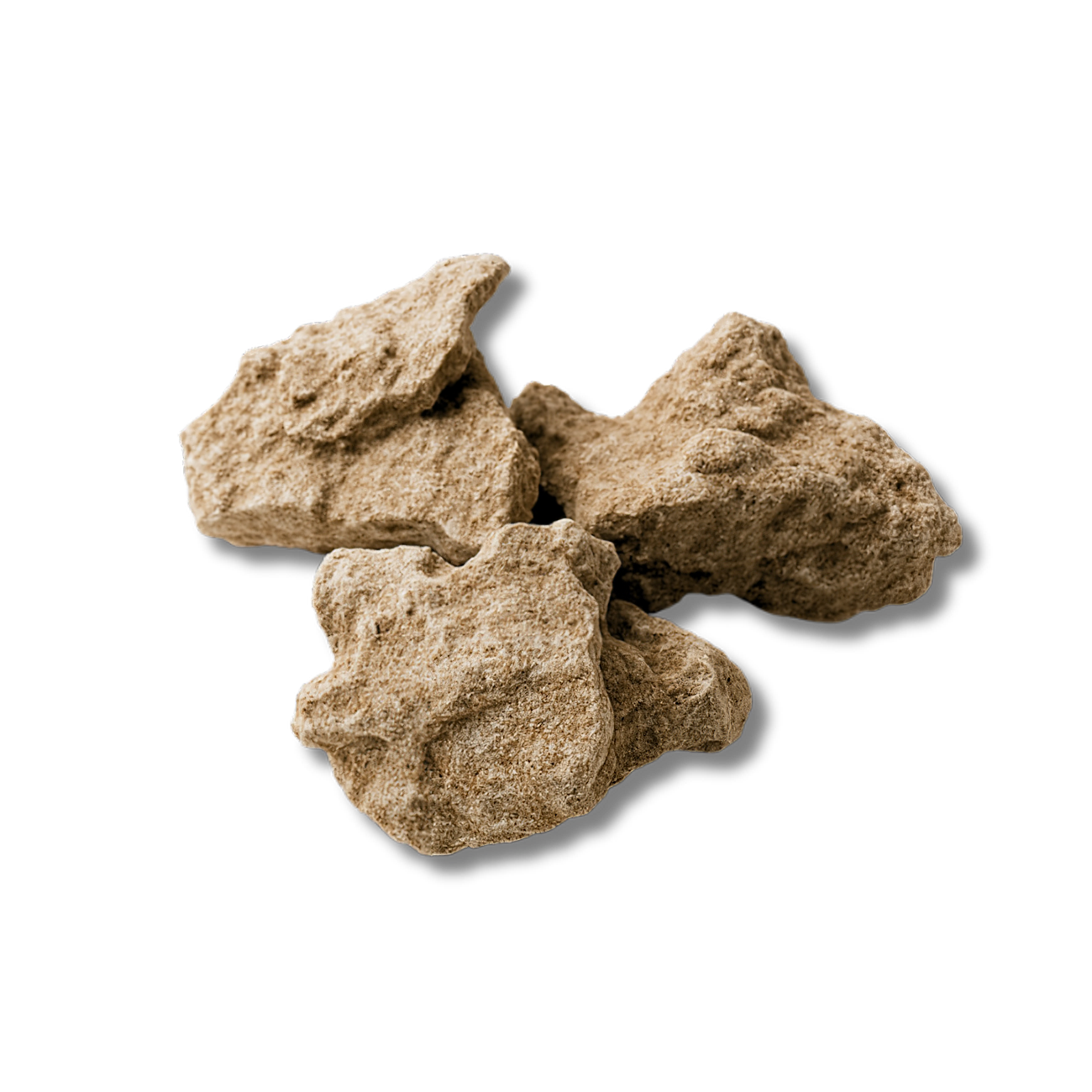 Lizard Rock