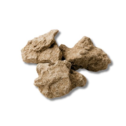 Lizard Rock