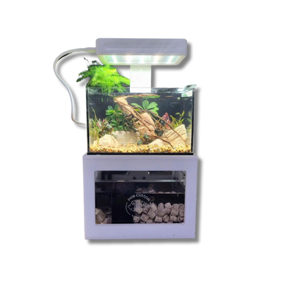 Micro fish tank online