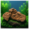 Moon Rock