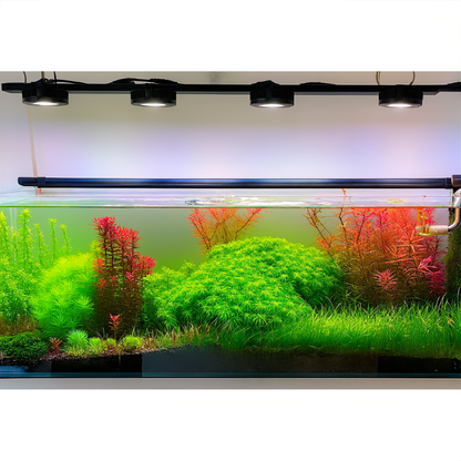 Trigger visible aquatic plant growth — without algae spikes or livestock stress.