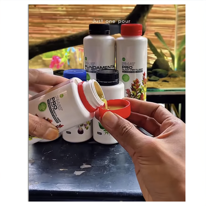 Trigger visible aquatic plant growth — without algae spikes or livestock stress.