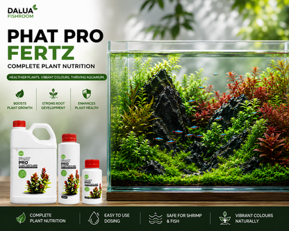 Trigger visible aquatic plant growth — without algae spikes or fish stress.