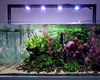 Illumagic Pixels Aquascaper