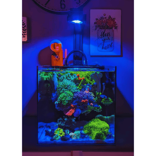 Pixel LED Bundle lighting bundle pack DALUA 