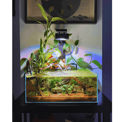 Pixel LED Bundle lighting bundle pack DALUA 