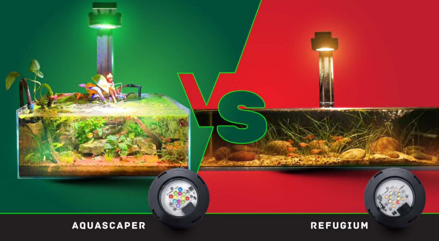 Comparison between aquascaping and refugium with 'VS' in the middle on a green and red background.