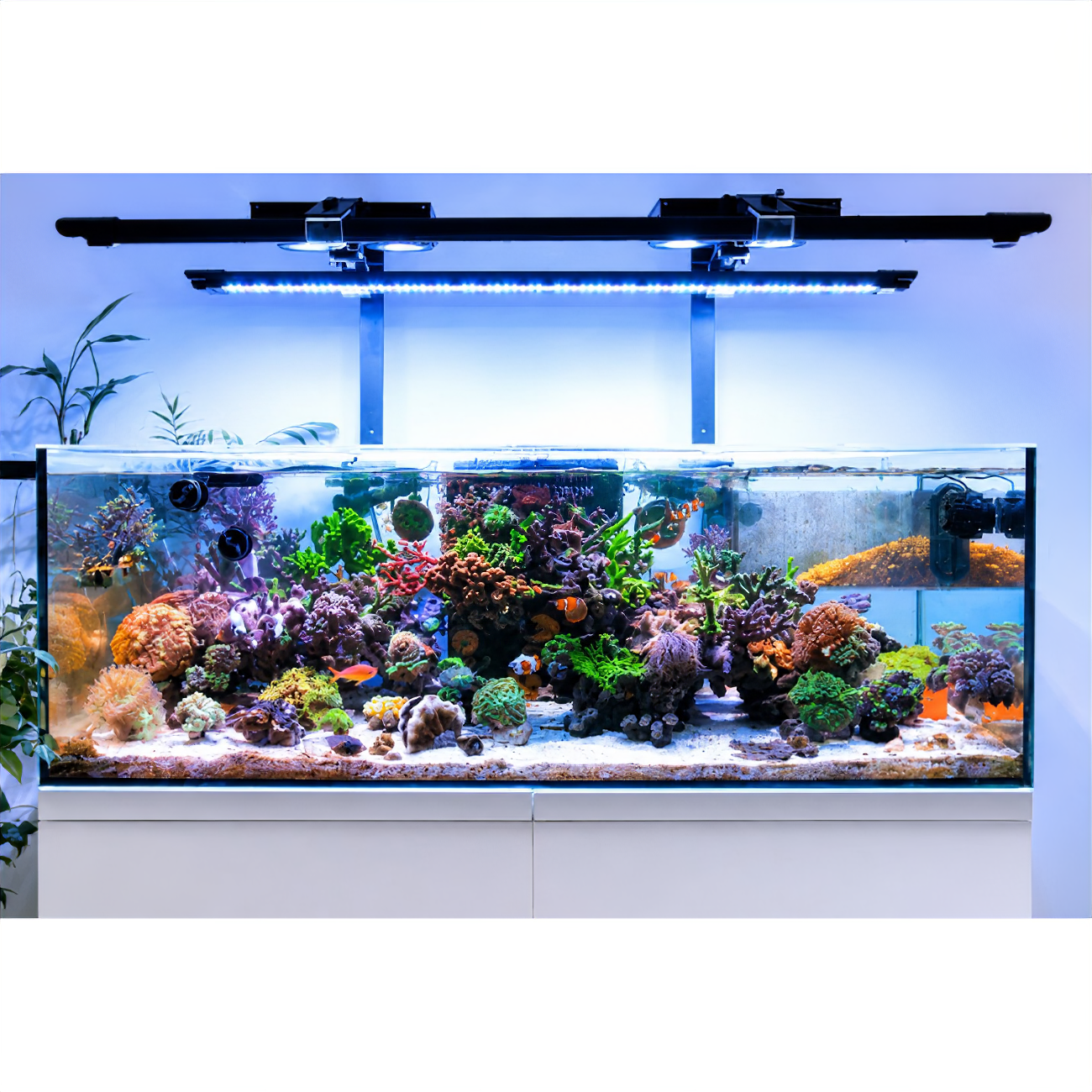 X4 Beast Mode SPS Lighting Bundle
