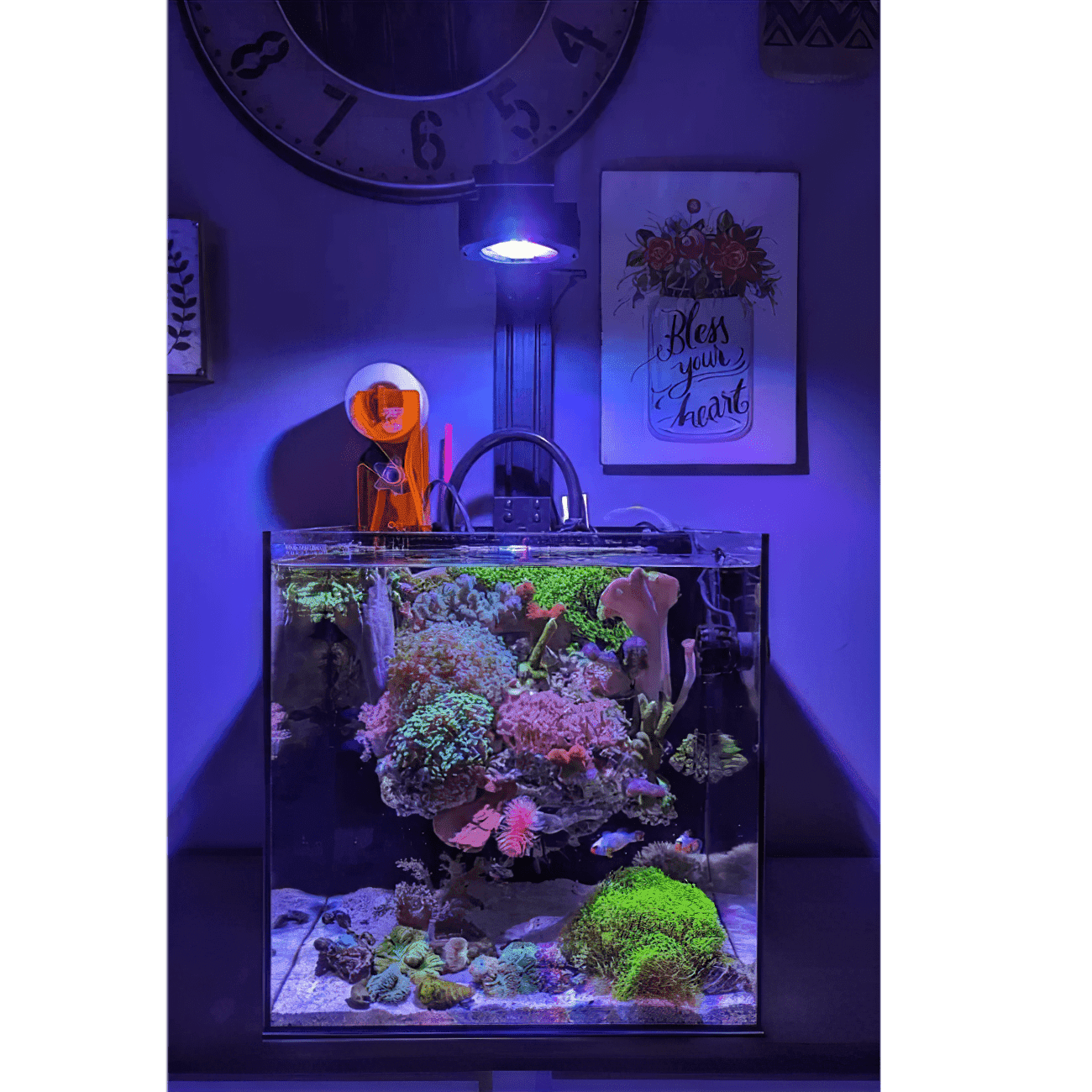 Pixel LED Bundle lighting bundle pack DALUA 