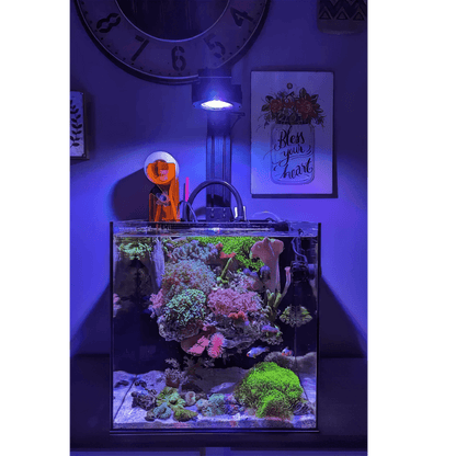 Pixel LED Bundle lighting bundle pack DALUA 