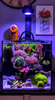 16L Lagoon + Single Pixel LED Bundle