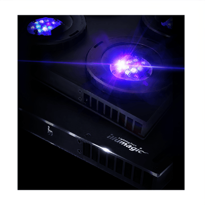 Illumagic X4 Limited Edition *Platinum White*