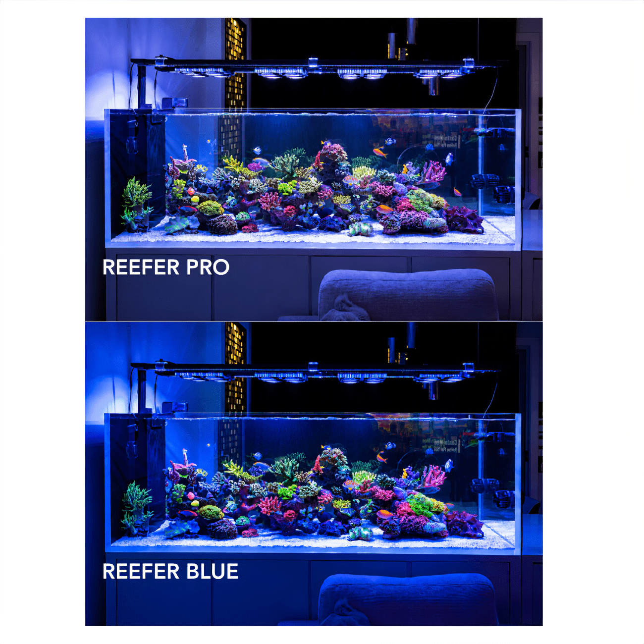 X4 Beast Mode SPS Lighting Bundle